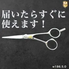 Item thumbnail for item ac08de43-3b61-4960-a49a-7fa22df23d28