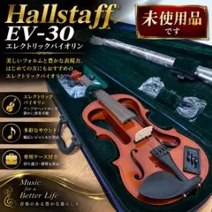 2026年最新】Hallstatt EV-30の人気アイテム - メルカリ