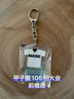 Item thumbnail for item 2e10c95f-7248-475b-8f2a-634b1f2c08a3