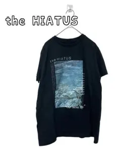 2026年最新】Hiatus kaiyote tシャツの人気アイテム - メルカリ