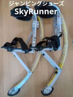 Item thumbnail for item 081eb91b-f08a-4e61-9ecb-c1ae45c6e0c6