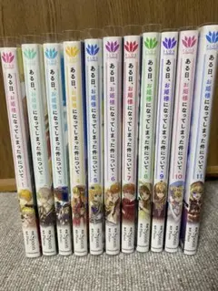 ある日、お姫様になってしまった件について　1-11巻