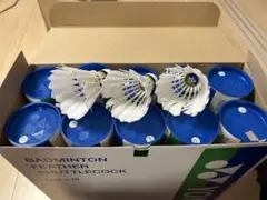 Item thumbnail for item bda62d16-f908-4217-a082-130dacee8fed