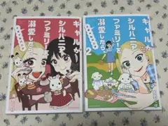 ギャルがシルバニアファミリーを溺愛したら。 7 完結 - メルカリ
