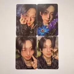 &TEAM Back to Life FUMA 4枚