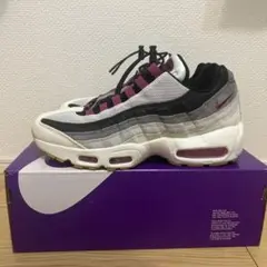 エアマックス95 SB AIR MAX95 sb