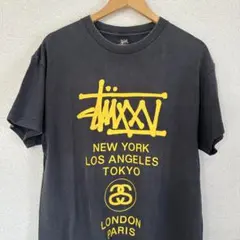 超レア old stussy ワールドツアー25周年限定ver. 短丈カスタムのサムネイル