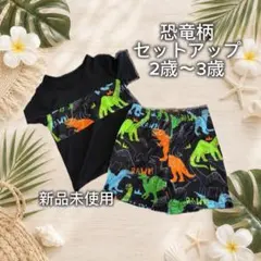 恐竜 セットアップ 95cm 男の子 半袖 夜光 光る　新品　未使用　上下セット