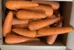 京都府産 間引きにんじんの葉っぱ3kg 無農薬 - メルカリ