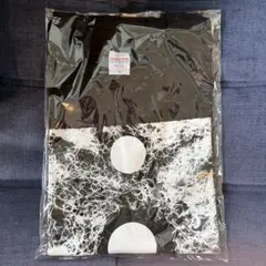 窪塚洋介　雲中白鶴Tシャツ　Mサイズのサムネイル
