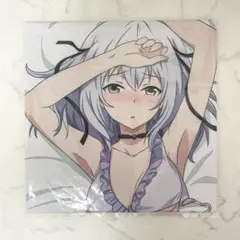 公式正規品　最弱無敗の神装機竜　切姫夜架　抱き枕カバー　160×50cm 最弱無敗の神装機竜 切姫夜架 抱き枕カバー - メルカリ