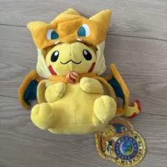 新品未開封品】ポケモンセンター フード付きポンチョ メガリザードンX