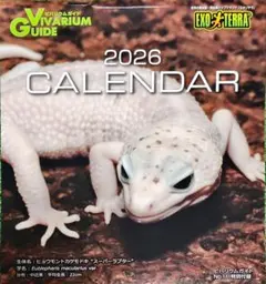 2026年最新】イグアナケージの人気アイテム - メルカリ