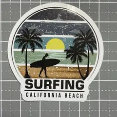 【WWW-6】防水ステッカー ビーチ 海 ハワイアン 南国 ヤシの木 サーフィン