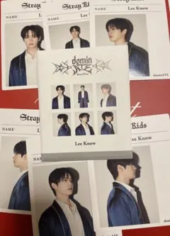 straykids リノ インスタントフォトセット