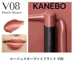 【ほぼ未使用】KANEBO ルージュスターヴァイブラント V08のサムネイル