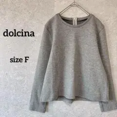 ドルチーナ プルオーバー スウェット 長袖 F グレー ロゴ刺繍 ハーフジップ