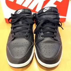 大人気パンダ！希少放出！ Nike ダンクロー 美品26cm