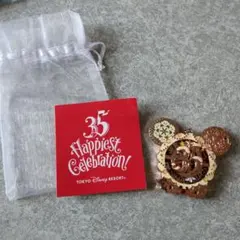 東京ディズニーリゾート 35周年記念チャーム【クリスマス】