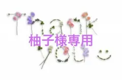 柚子様専用　梅干し1kgのサムネイル