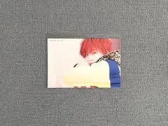 CONTACT 八木勇征 1st写真集 特典 ポストカード