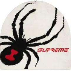 2025年最新】supreme ビーニー スパイダーの人気アイテム - メルカリ