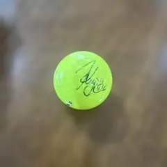 Item thumbnail for item 803dc137-1bcf-4b29-b43d-8342258b678d