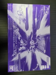 HG 1/144 ストライクフリーダムガンダム弐式＆光の翼