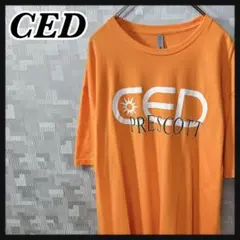 半袖 Tシャツ ビッグサイズ メンズ XXL オレンジ 丸首 英字 US 古着