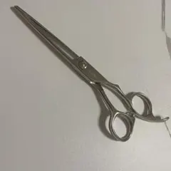 イービルシャッド 春カラーセット 専用ケース付 - メルカリ