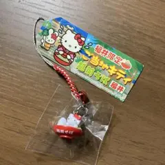 ☆格安☆レア2003【新品未使用】ハローキティ スイカ割り 夏休み ご