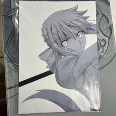 フェイト Fate stay night月刊エース2007年6月号特別付録下敷き