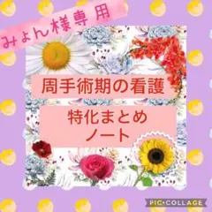 みょん様 看護 実習 周手術期 オペ前 オペ中 オペ後 手術 急性期 看護