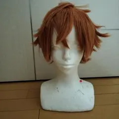 2025年最新】エーストラッポラ ウィッグの人気アイテム - メルカリ