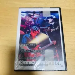 Non Stop Rabbit/PITやんなきゃ始まらねぇだろTOUR2023…