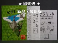 最新版】 新品 ピラミッド問題集 社会 小6【解答・チェックノート付