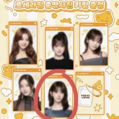 韓国限定 ルセラフィム サクラ 証明写真 Le Sserafim