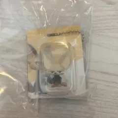 ディズニー ズートピア ブリスターチャームコレクション フィニック