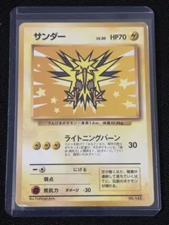 サンダー_ANA 「みんなにうれしいキャンペーン」 プレゼントカード サンダー_ANA 「みんなにうれしいキャンペーン」 プレゼントカード
