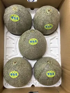 タカミレッド❪一番果❫約5キロ程度(箱込み)農家直送即購入大歓迎 赤肉 