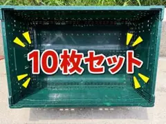 農業用コンテナ 収穫かご ブルー プラスチック（20枚） - メルカリ