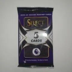 1P】Panini 24-25 SELECT PREMIER LEAGUE H版