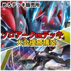 Nのゾロアークデッキ ポケカ構築済みデッキ