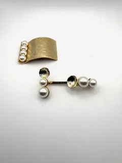 コンプレックスビズ　ポニーフックとヘアピン2個セット