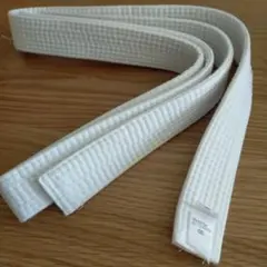 Item thumbnail for item fda3e248-1096-47a1-85ad-0216c7e2cd96