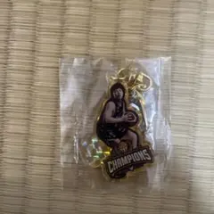 セール中 群馬クレインサンダーズHoops Peeps アクリルキーホルダー