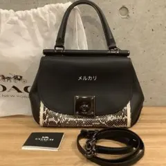 コーチ　パイソン　2ウェイバッグ