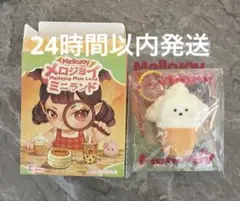 Mellojoy メロジョイ ミニランド ミニわんアイス ゆきこ - メルカリ