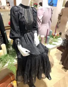 エレガントな黒のレースドレス