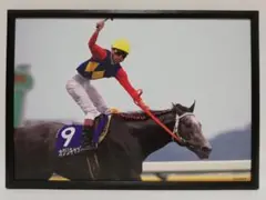 競馬 オグリキャップ パネル GREEN CHANNEL 2000
